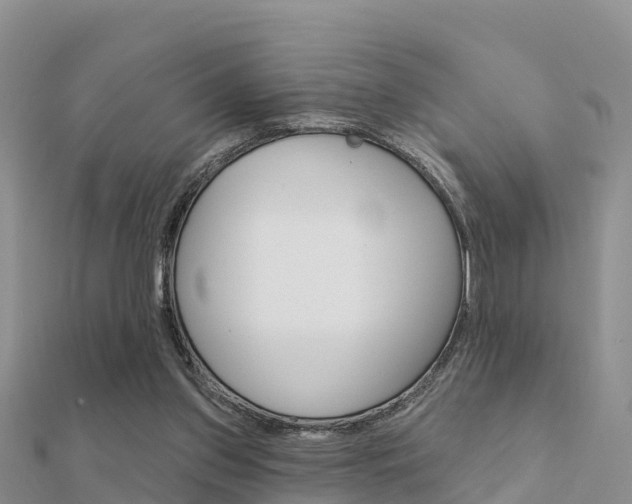 X0000112430157200908141119