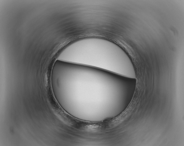 X0000112430158200908141119