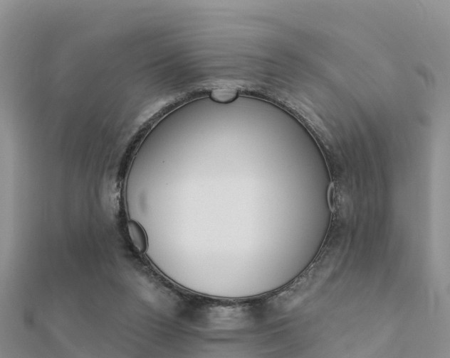 X0000112430160200908141119