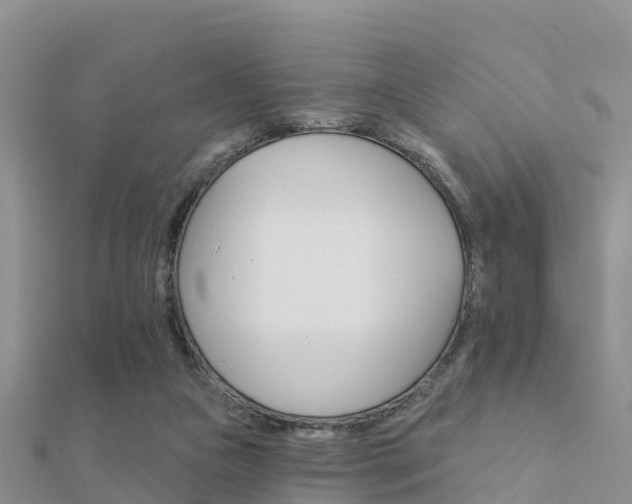 X0000112430161200908141119