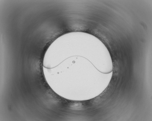 X0000112430162200908141119