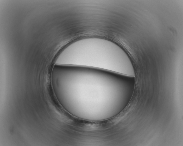 X0000112430164200908141119