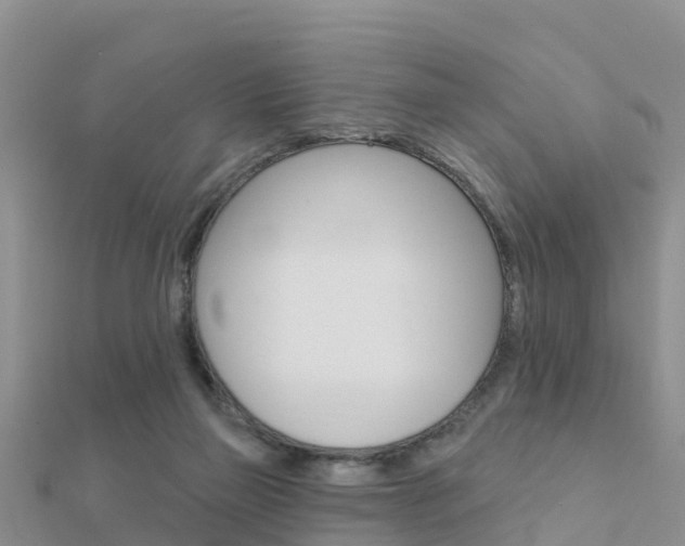 X0000112430165200908141119