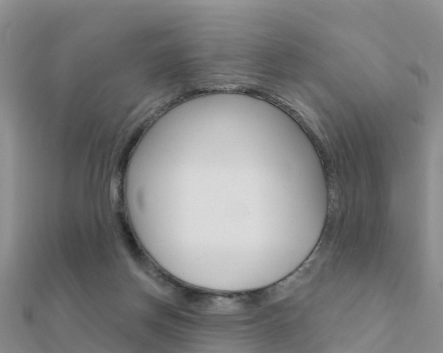 X0000112430166200908141119