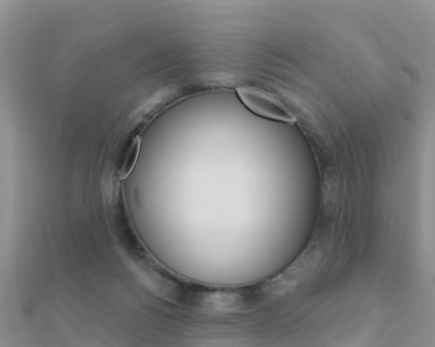 X0000112430168200908141119