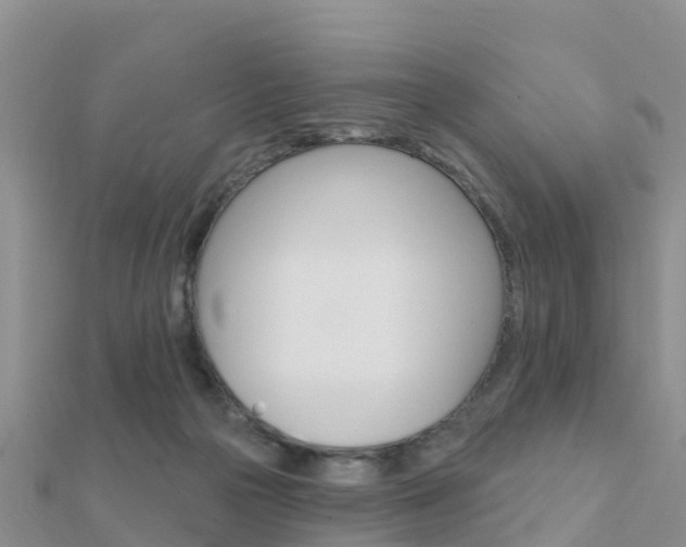 X0000112430169200908141119