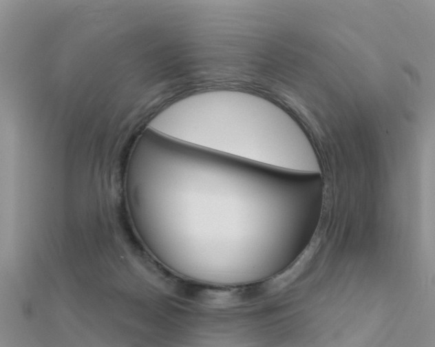 X0000112430170200908141119