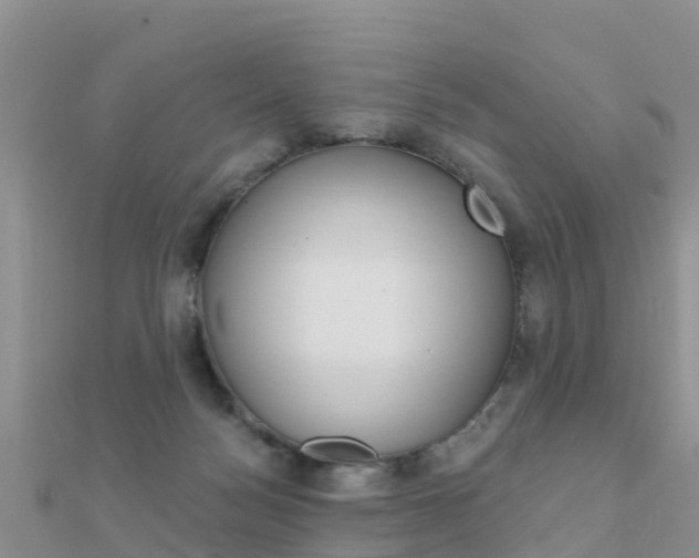 X0000112430172200908141119