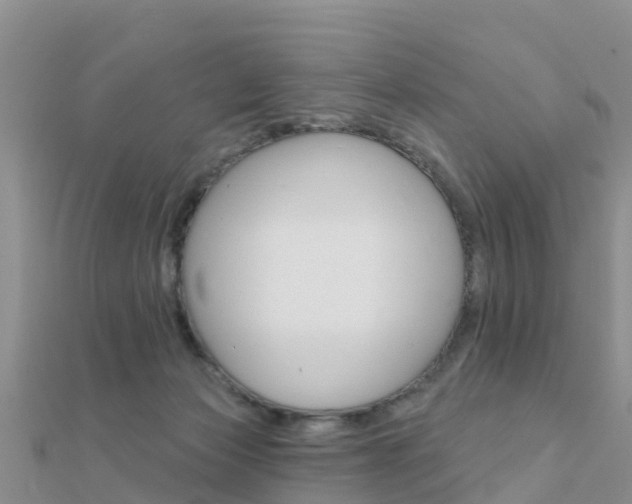 X0000112430173200908141119