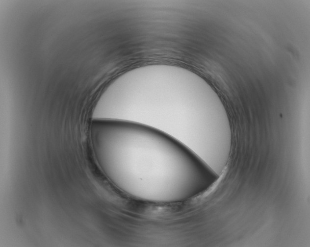 X0000112430174200908141119