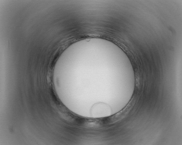 X0000112430175200908141119