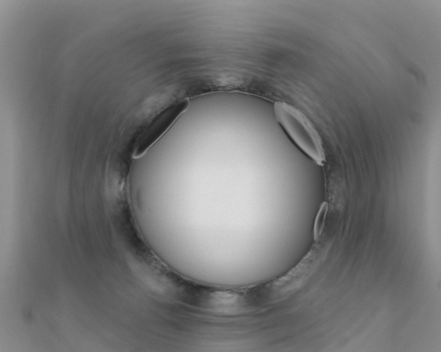 X0000112430176200908141119