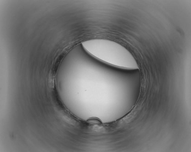 X0000112430180200908141119