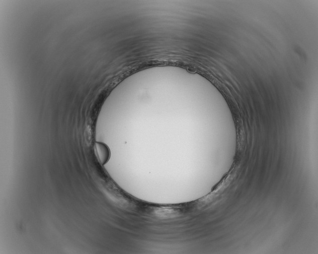 X0000112430183200908141119