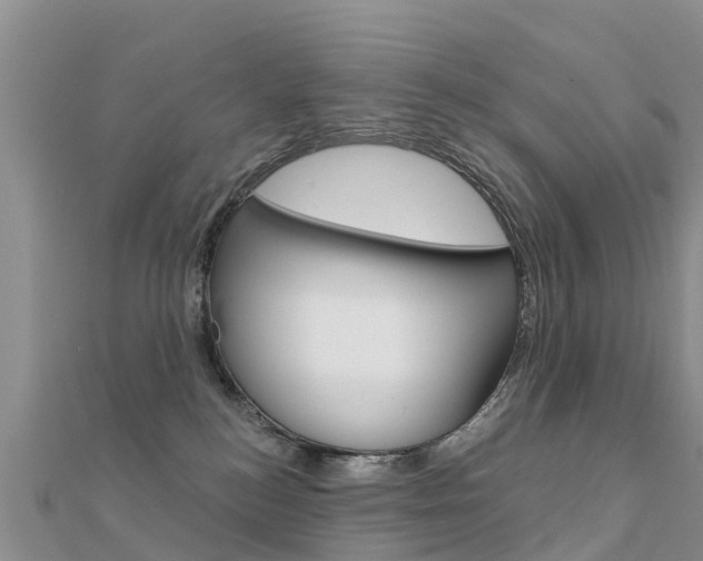 X0000112430184200908141119