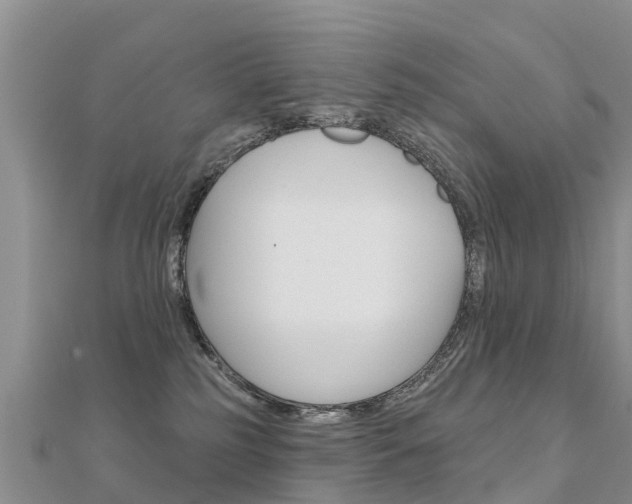 X0000112430185200908141119