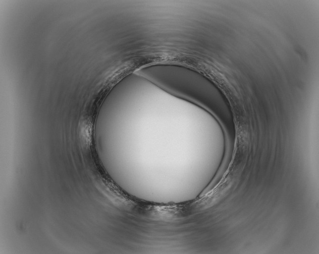 X0000112430188200908141119