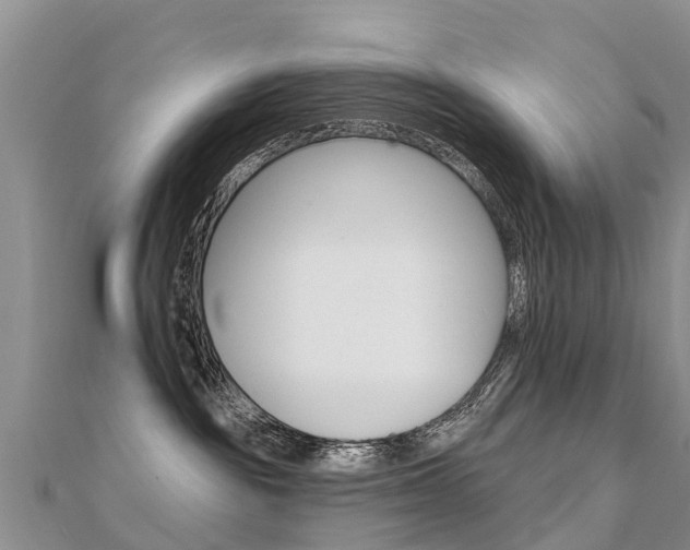 X0000112430189200908141120