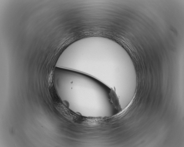 X0000112430190200908141120