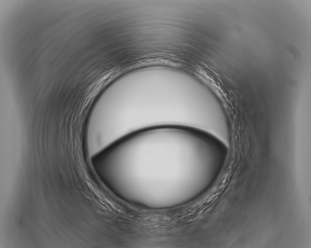 X0000112430193200908141119