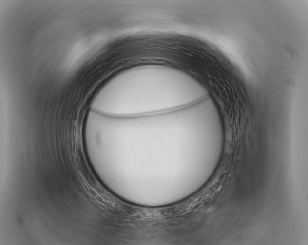 X0000112430194200908141119