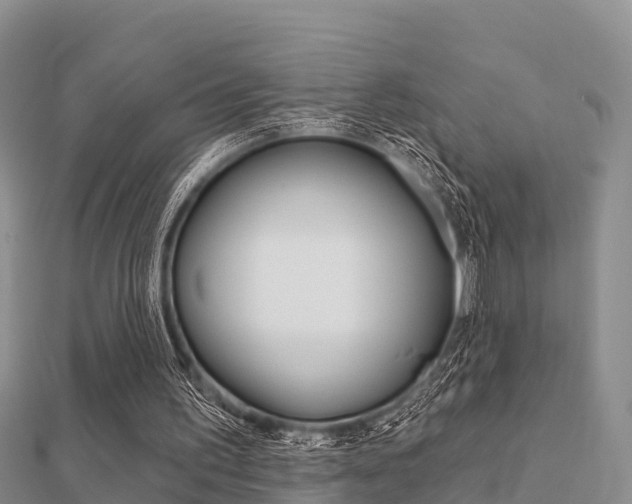 X0000112430195200908141119