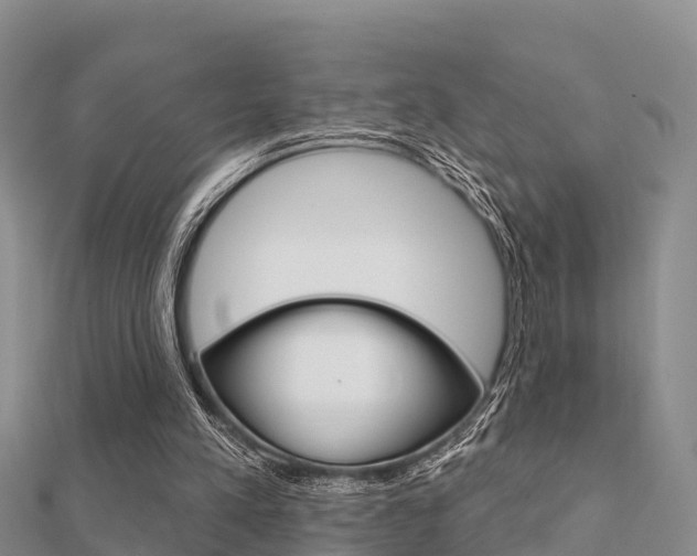 X0000112430197200908141119