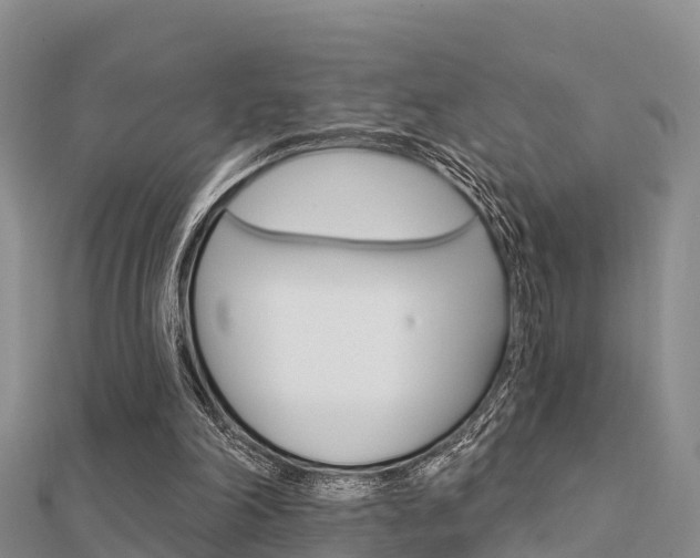 X0000112430198200908141119