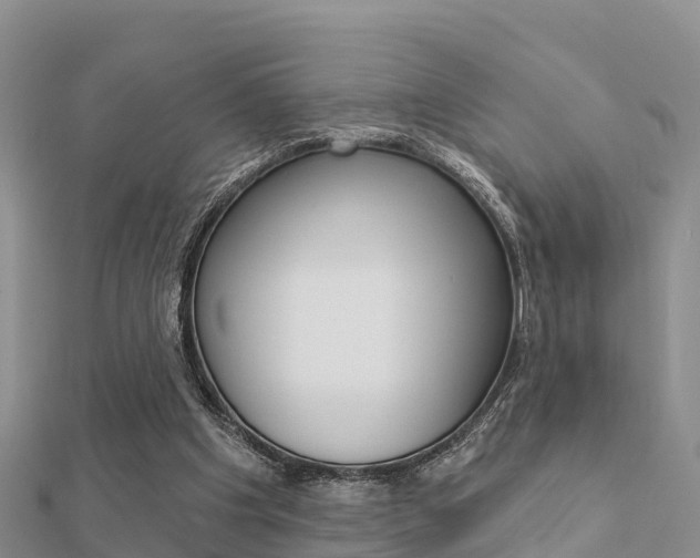 X0000112430201200908141119