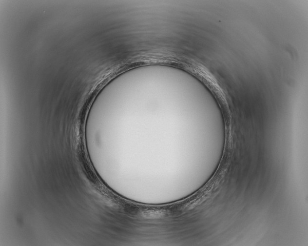 X0000112430202200908141119
