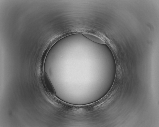 X0000112430203200908141119