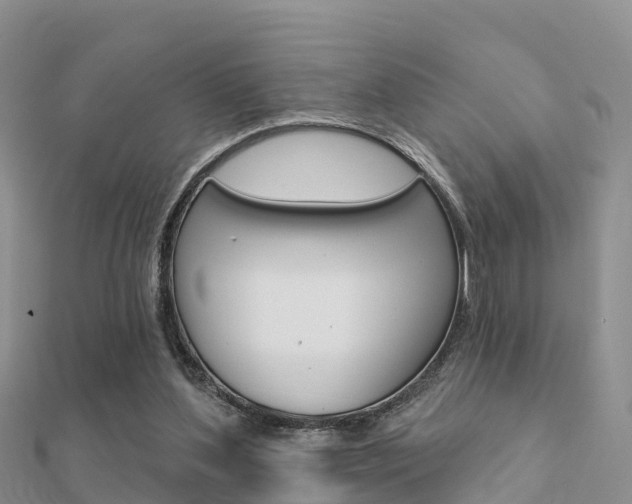 X0000112430204200908141119