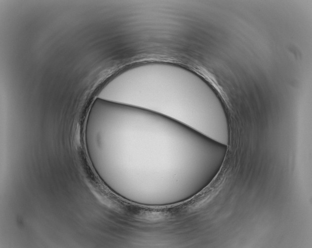 X0000112430205200908141119