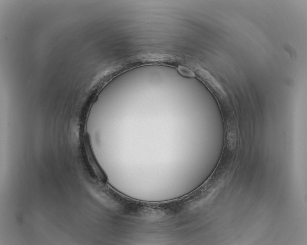 X0000112430207200908141119
