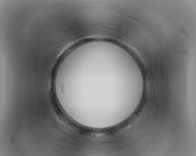 X0000112430208200908141119