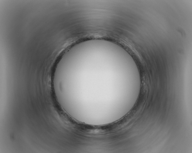 X0000112430212200908141119
