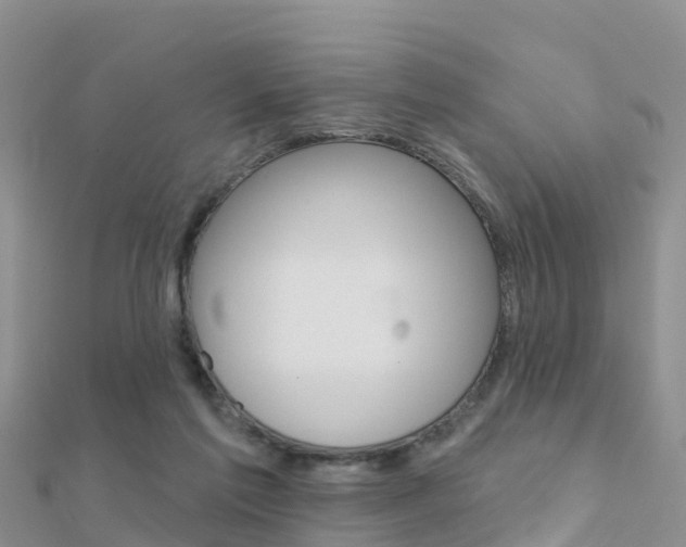 X0000112430213200908141119