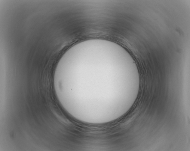 X0000112430215200908141119