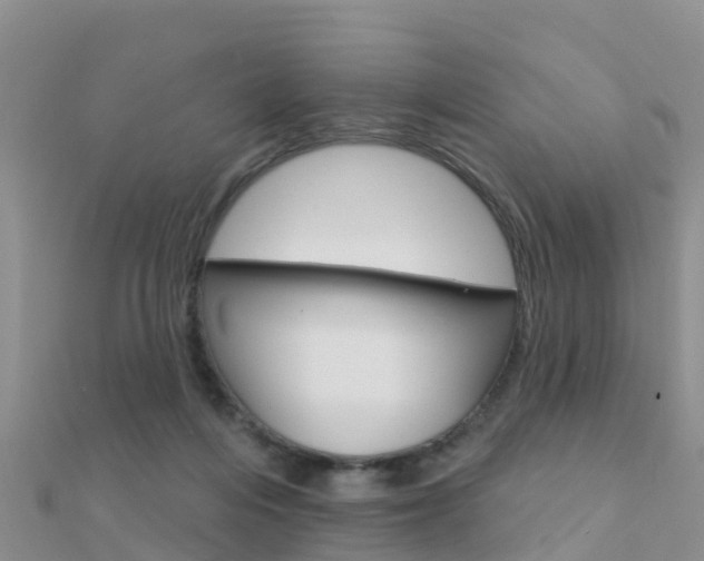 X0000112430216200908141119