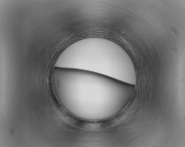 X0000112430217200908141119