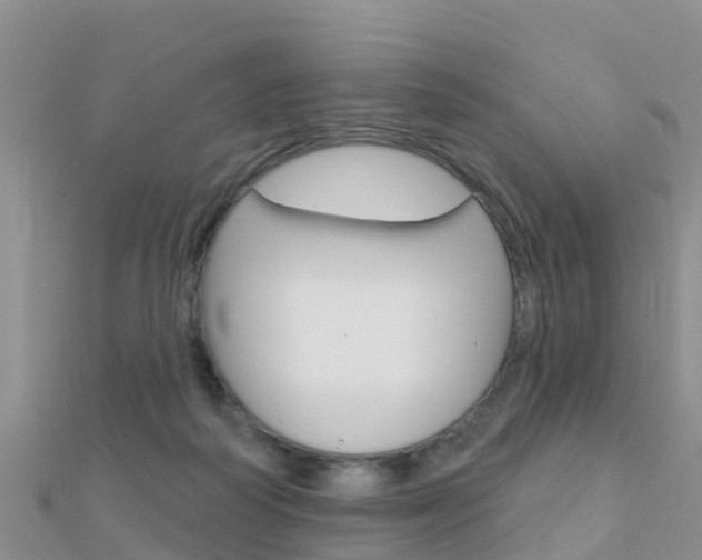 X0000112430218200908141119