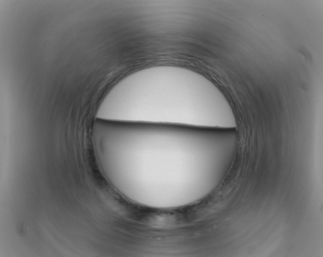 X0000112430220200908141119