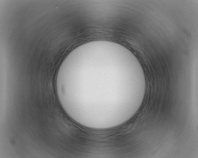 X0000112430221200908141119
