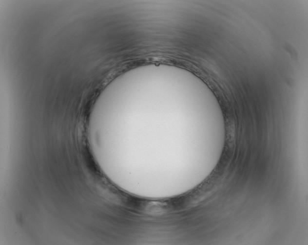 X0000112430222200908141119