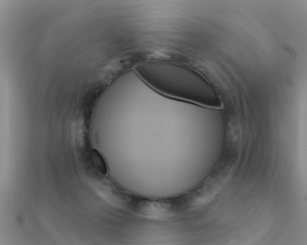 X0000112430223200908141119