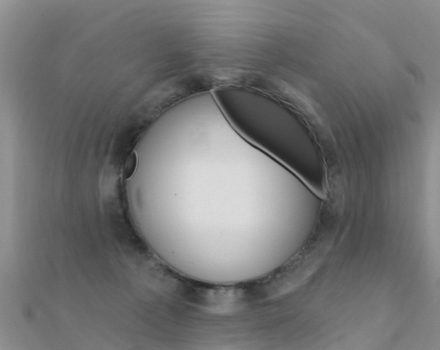 X0000112430225200908141119