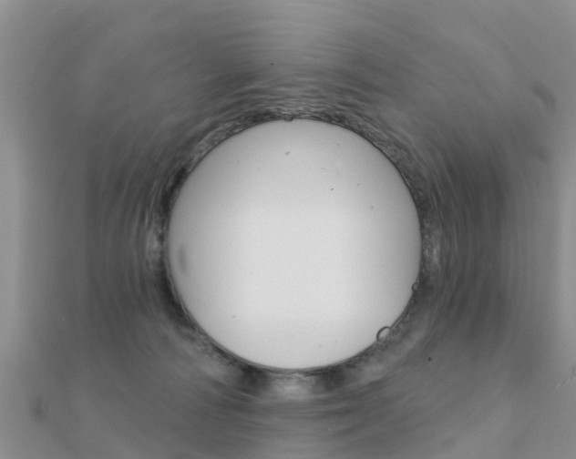 X0000112430226200908141119