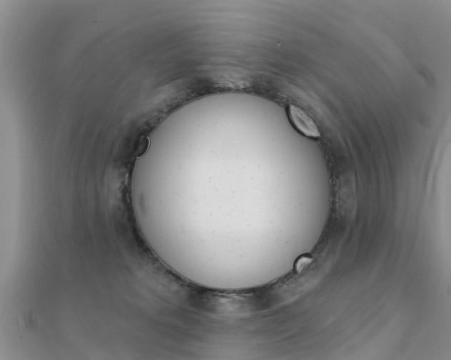 X0000112430229200908141118