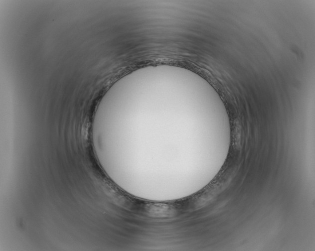 X0000112430230200908141118
