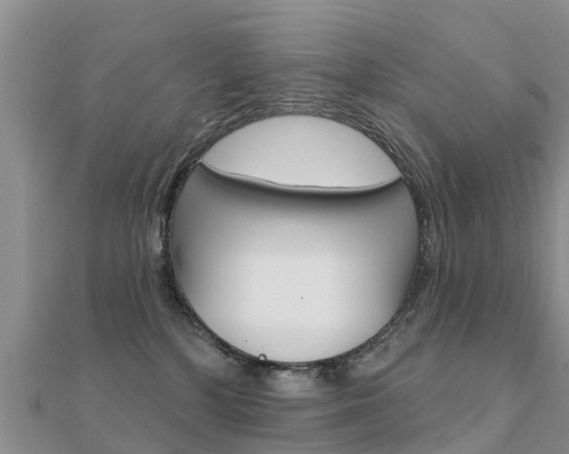 X0000112430232200908141118